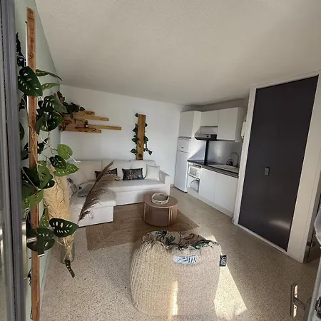 Appartement T2 Cosy A 200m De La Avec Parking Prive Le Grau-du-Roi